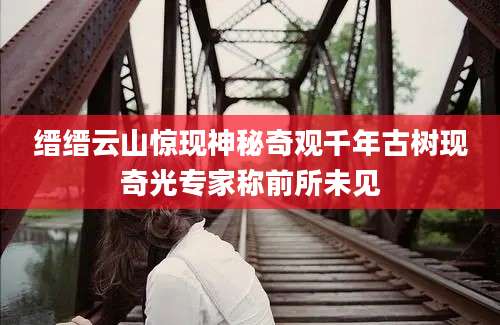 缙缙云山惊现神秘奇观千年古树现奇光专家称前所未见