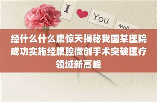 经什么什么腹惊天揭秘我国某医院成功实施经腹腔微创手术突破医疗领域新高峰