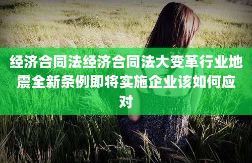 经济合同法经济合同法大变革行业地震全新条例即将实施企业该如何应对