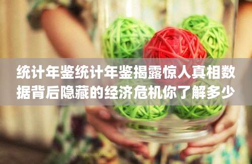 统计年鉴统计年鉴揭露惊人真相数据背后隐藏的经济危机你了解多少
