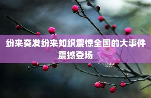 纷来突发纷来如织震惊全国的大事件震撼登场