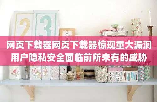 网页下载器网页下载器惊现重大漏洞用户隐私安全面临前所未有的威胁