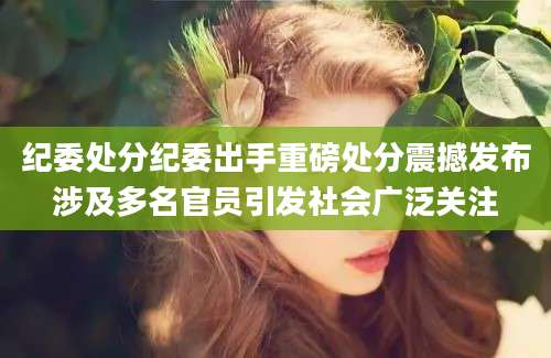 纪委处分纪委出手重磅处分震撼发布涉及多名官员引发社会广泛关注