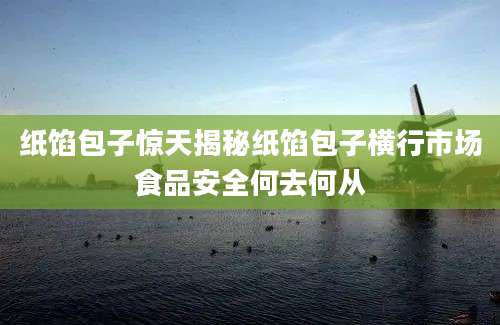纸馅包子惊天揭秘纸馅包子横行市场食品安全何去何从