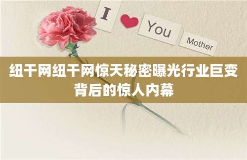 纽干网纽干网惊天秘密曝光行业巨变背后的惊人内幕