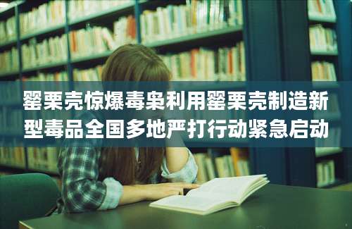 罂栗壳惊爆毒枭利用罂栗壳制造新型毒品全国多地严打行动紧急启动