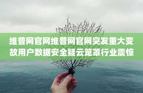 维普网官网维普网官网突发重大变故用户数据安全疑云笼罩行业震惊