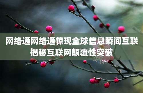 网络通网络通惊现全球信息瞬间互联揭秘互联网颠覆性突破