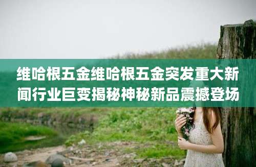 维哈根五金维哈根五金突发重大新闻行业巨变揭秘神秘新品震撼登场