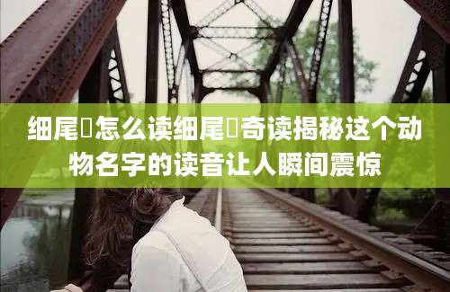 细尾獴怎么读细尾獴奇读揭秘这个动物名字的读音让人瞬间震惊