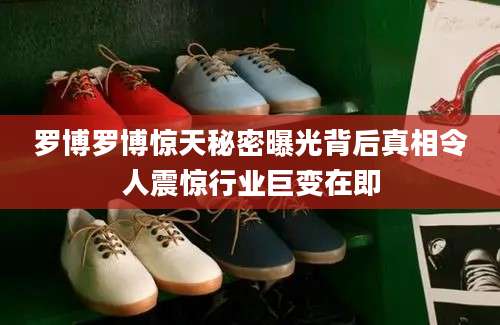 罗博罗博惊天秘密曝光背后真相令人震惊行业巨变在即
