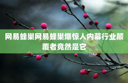 网易蜂巢网易蜂巢爆惊人内幕行业颠覆者竟然是它