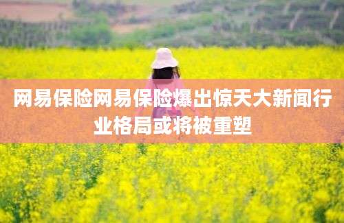 网易保险网易保险爆出惊天大新闻行业格局或将被重塑