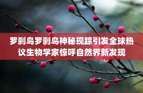 罗刹鸟罗刹鸟神秘现踪引发全球热议生物学家惊呼自然界新发现