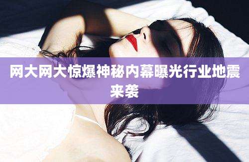 网大网大惊爆神秘内幕曝光行业地震来袭
