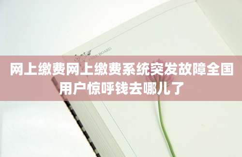 网上缴费网上缴费系统突发故障全国用户惊呼钱去哪儿了