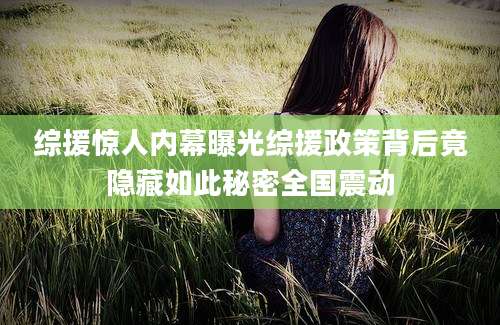 综援惊人内幕曝光综援政策背后竟隐藏如此秘密全国震动
