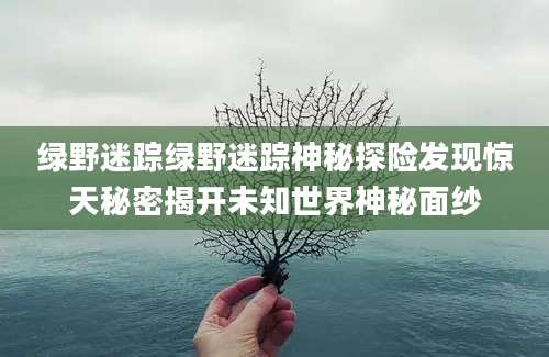 绿野迷踪绿野迷踪神秘探险发现惊天秘密揭开未知世界神秘面纱