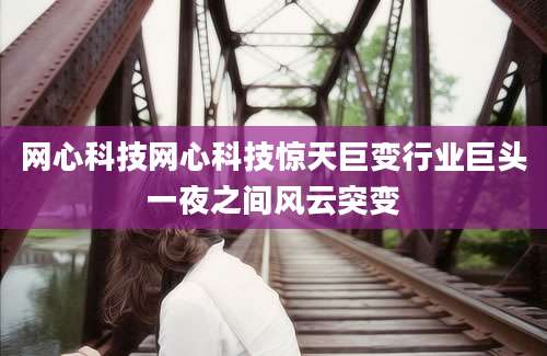 网心科技网心科技惊天巨变行业巨头一夜之间风云突变