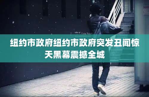 纽约市政府纽约市政府突发丑闻惊天黑幕震撼全城