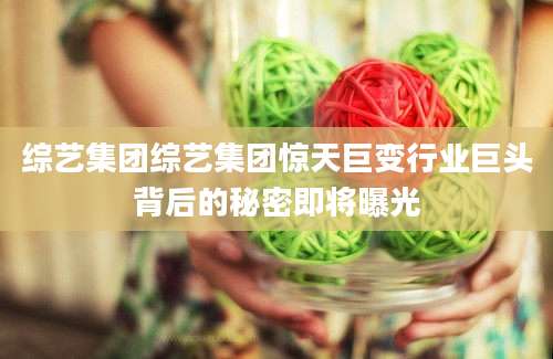 综艺集团综艺集团惊天巨变行业巨头背后的秘密即将曝光