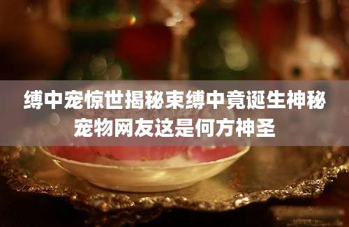 缚中宠惊世揭秘束缚中竟诞生神秘宠物网友这是何方神圣