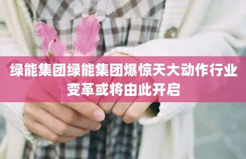 绿能集团绿能集团爆惊天大动作行业变革或将由此开启