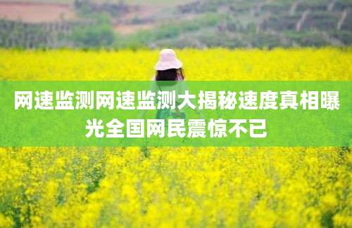 网速监测网速监测大揭秘速度真相曝光全国网民震惊不已