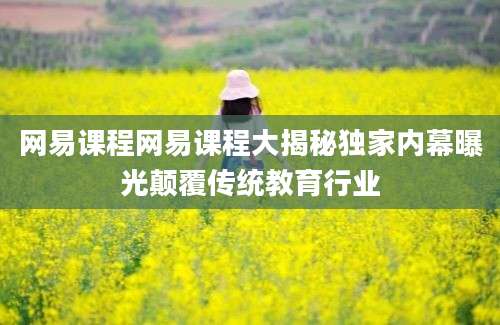 网易课程网易课程大揭秘独家内幕曝光颠覆传统教育行业