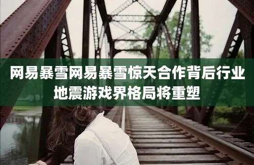 网易暴雪网易暴雪惊天合作背后行业地震游戏界格局将重塑