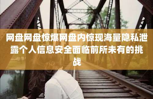 网盘网盘惊爆网盘内惊现海量隐私泄露个人信息安全面临前所未有的挑战