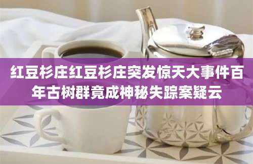 红豆杉庄红豆杉庄突发惊天大事件百年古树群竟成神秘失踪案疑云