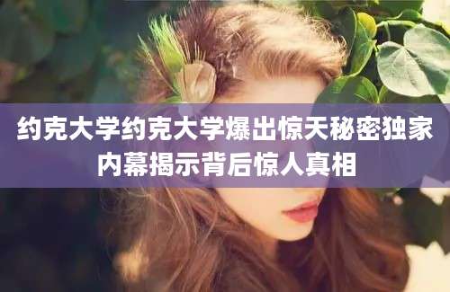 约克大学约克大学爆出惊天秘密独家内幕揭示背后惊人真相