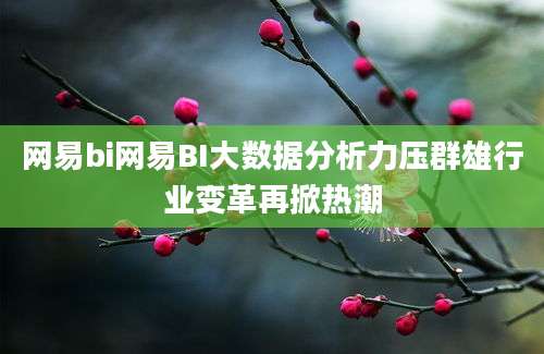网易bi网易BI大数据分析力压群雄行业变革再掀热潮