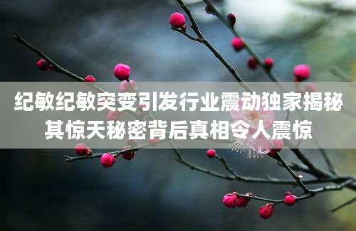 纪敏纪敏突变引发行业震动独家揭秘其惊天秘密背后真相令人震惊