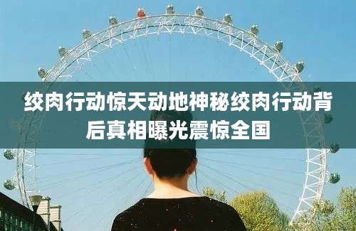绞肉行动惊天动地神秘绞肉行动背后真相曝光震惊全国