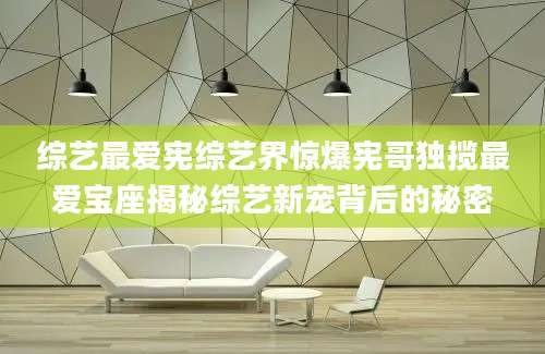 综艺最爱宪综艺界惊爆宪哥独揽最爱宝座揭秘综艺新宠背后的秘密