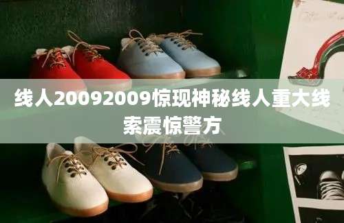 线人20092009惊现神秘线人重大线索震惊警方