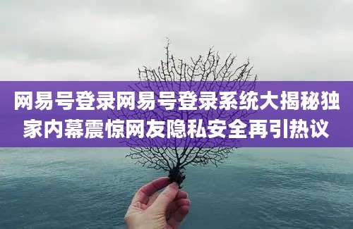 网易号登录网易号登录系统大揭秘独家内幕震惊网友隐私安全再引热议