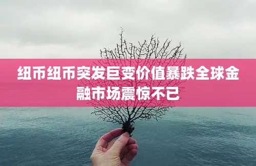 纽币纽币突发巨变价值暴跌全球金融市场震惊不已