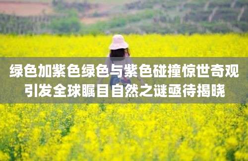 绿色加紫色绿色与紫色碰撞惊世奇观引发全球瞩目自然之谜亟待揭晓