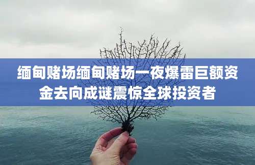 缅甸赌场缅甸赌场一夜爆雷巨额资金去向成谜震惊全球投资者