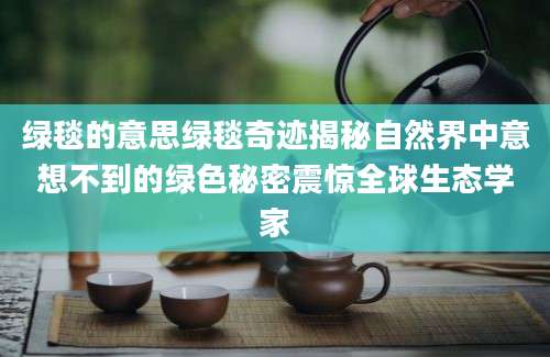 绿毯的意思绿毯奇迹揭秘自然界中意想不到的绿色秘密震惊全球生态学家