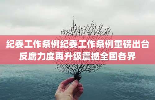 纪委工作条例纪委工作条例重磅出台反腐力度再升级震撼全国各界