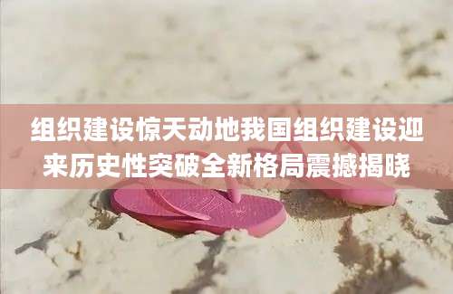 组织建设惊天动地我国组织建设迎来历史性突破全新格局震撼揭晓