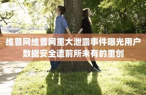 维普网维普网重大泄露事件曝光用户数据安全遭前所未有的重创