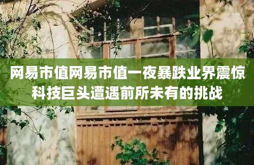 网易市值网易市值一夜暴跌业界震惊科技巨头遭遇前所未有的挑战