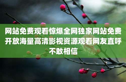网站免费观看惊爆全网独家网站免费开放海量高清影视资源观看网友直呼不敢相信