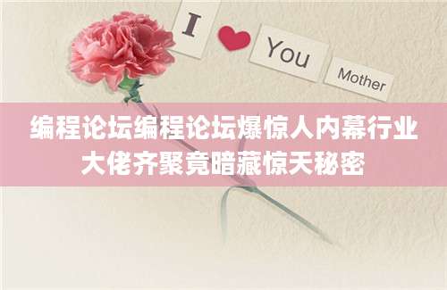 编程论坛编程论坛爆惊人内幕行业大佬齐聚竟暗藏惊天秘密