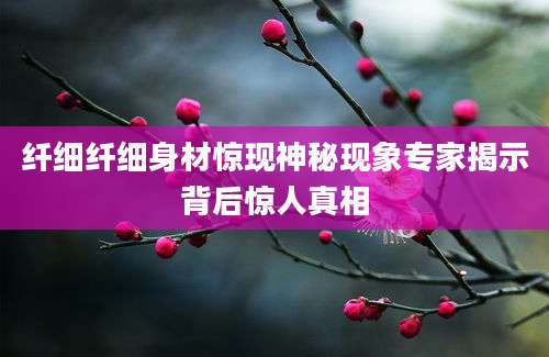 纤细纤细身材惊现神秘现象专家揭示背后惊人真相